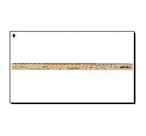 Линейка деревянная 30см Алгебра шелкография (в уп 12шт)Мицар