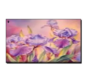 Алмазная мозаика по номерам 40*50 "Цветы" карт уп. (холст на раме)