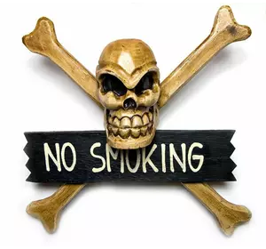 Череп з кістками "No Smoking" (30х9х30 см) (ARS004A)