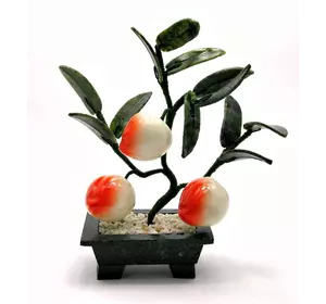 Дерево персик (3 плода)(18х19х7 см)