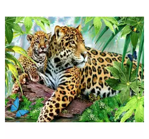 Раскраска по номерам 40*50см "Семья ягуаров" карт.уп (холст на раме краски+кисти)