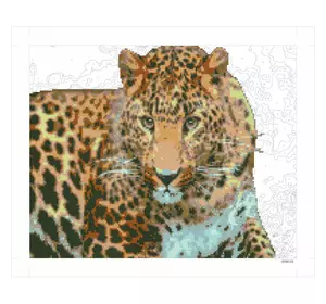 Картина по номерам + Діамант 9D 40*50 "Леопард" карт. уп.