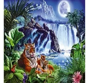 Алмазна мозаїка за номерами 40*50 "Тигри" карт уп. (полотно на рамі)