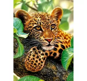 Раскраска по номерам 30*40см "Маленький леопард" OPP (холст на раме краски+кисти)