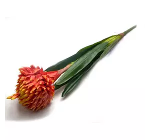 Квітка "Гузмания" (79 см)