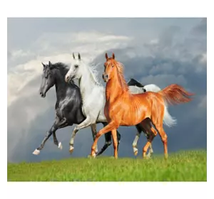 Раскраска по номерам 30*40см "Тройка лошадей" OPP (холст на раме краски+кисти)